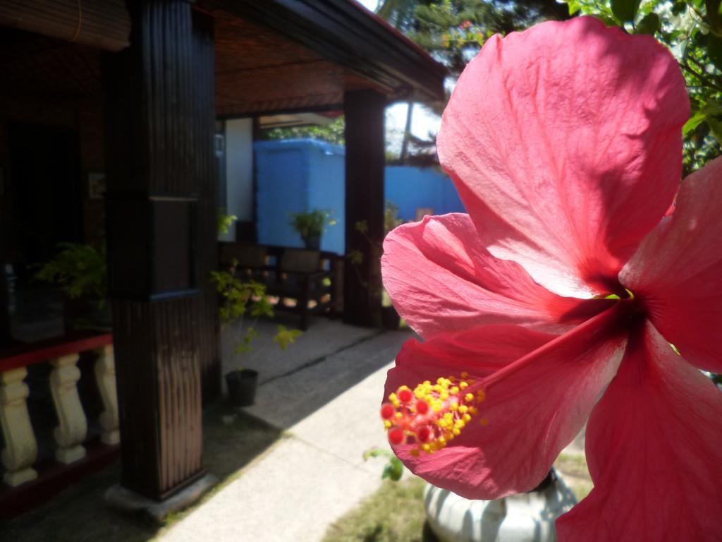 Casakeja Inn Panglao-stad Buitenkant foto